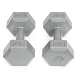 Dumbbells - gewichten set - 6 kg - 2x 3kg - zeskant - grijs