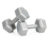 Dumbbells - gewichten set - 6 kg - 2x 3kg - zeskant - grijs