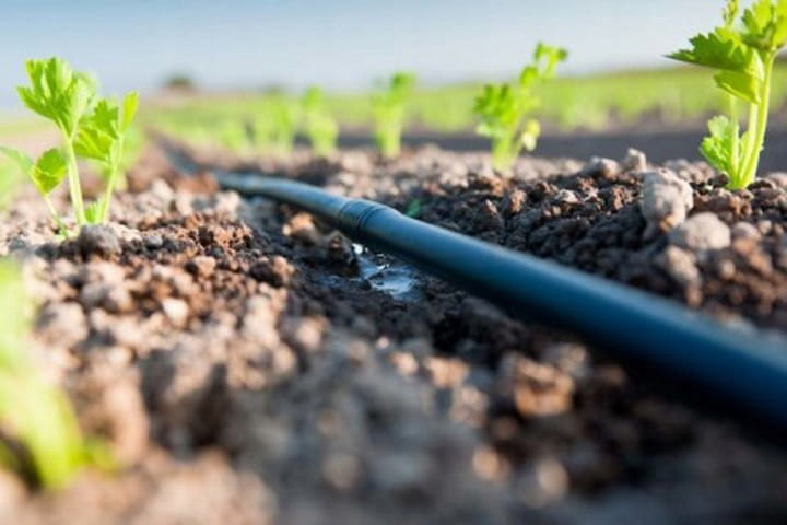 Druppelslang - compleet irrigatiesysteem - 50 m