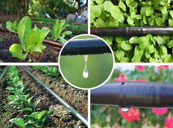 Druppelslang - compleet irrigatiesysteem - 50 m