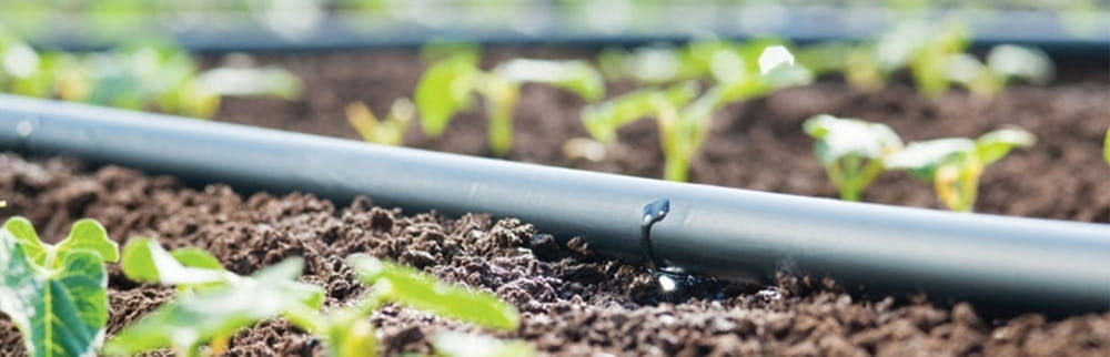 Druppelslang - compleet irrigatiesysteem - 50 m