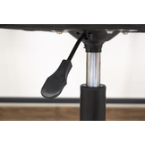 Bureaustoel NOTO - ergonomisch - eco-leer - zwart