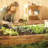 Moestuinbak - incl. zaden - 150x150x18cm - 405L