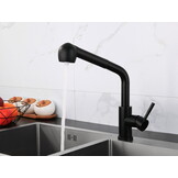 Keukenkraan uittrekbaar - met twee slangen - zwart
