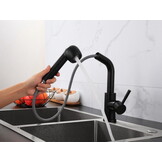 Keukenkraan uittrekbaar - met twee slangen - zwart