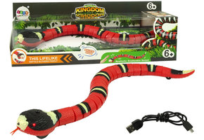 Speelgoed slang - op afstand bestuurbaar - 40 cm - rood
