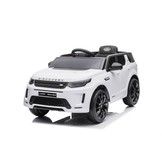 Land Range Rover accu auto - wit - rubberbanden