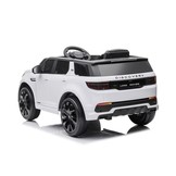 Land Range Rover accu auto - wit - rubberbanden