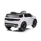 Land Range Rover accu auto - wit - rubberbanden