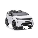 Land Range Rover accu auto - wit - rubberbanden