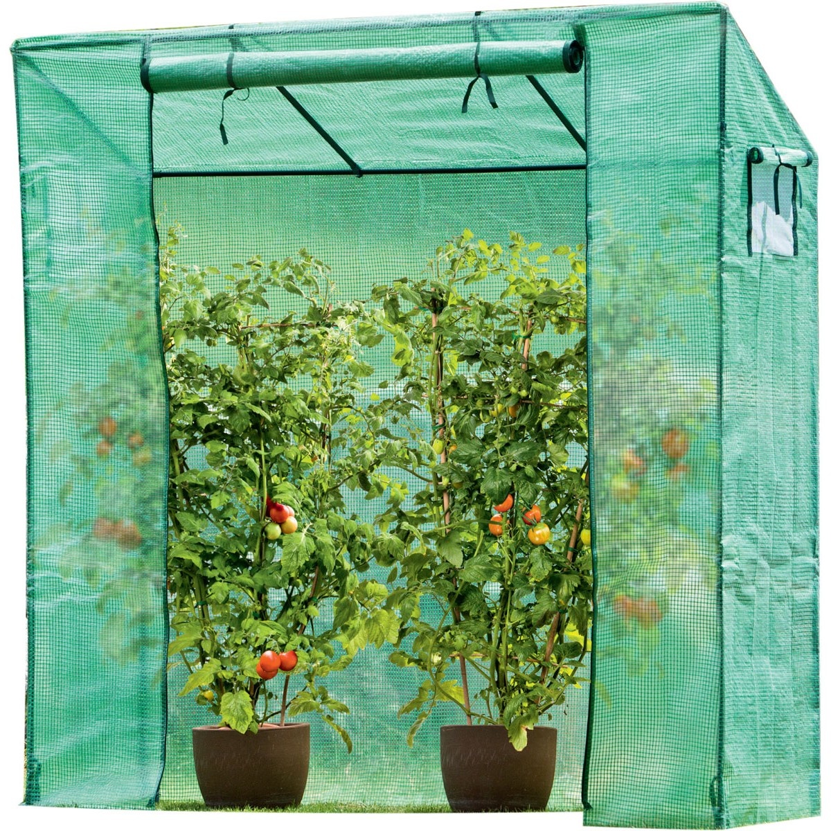 Tuinkas - tunnelkas - voor tomaten 198x78x200-180cm