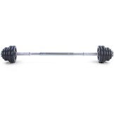 30 kg professionele dumbbell halterset zwart gietijzer