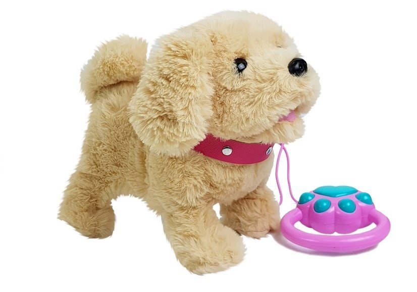 Knuffelhond - pluche hond - accessoires