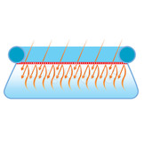 Bestway - zwembad afdekzeil - voor ronde zwembaden - ⌀462cm