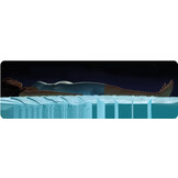 INTEX Luchtbed - 2 persoons - 203x152x25cm - groen, grijs