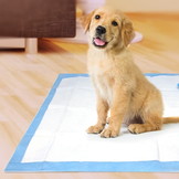 Trainingsmat voor honden - 90x60 - 100 stuks - absorberend