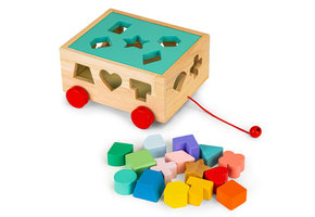 Sorteerkar - 19,5x20x10cm - Inclusief 15 blokken