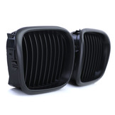 Grill nieren - geschikt voor BMW 5-serie E39 95-03 - Sportieve look - 2 delig