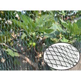 Garden Line - vogelnet - 6x10 m - maas 2x2 cm - groen