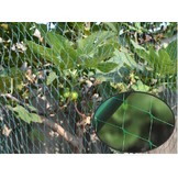 Garden Line - vogelnet -  8x20m - 16 pinnen - groen