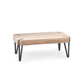 EMILY - salontafel - hout - rechthoekig - 110x42x60 cm - zwart