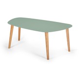 Endocarp salontafel, saliegroen gelakt MDF/Essenhout, 110x66cm - FSC gecertificeerd
