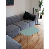 Endocarp Salontafel - Bruin Beige, Essenhout Poten, 110x66x45cm