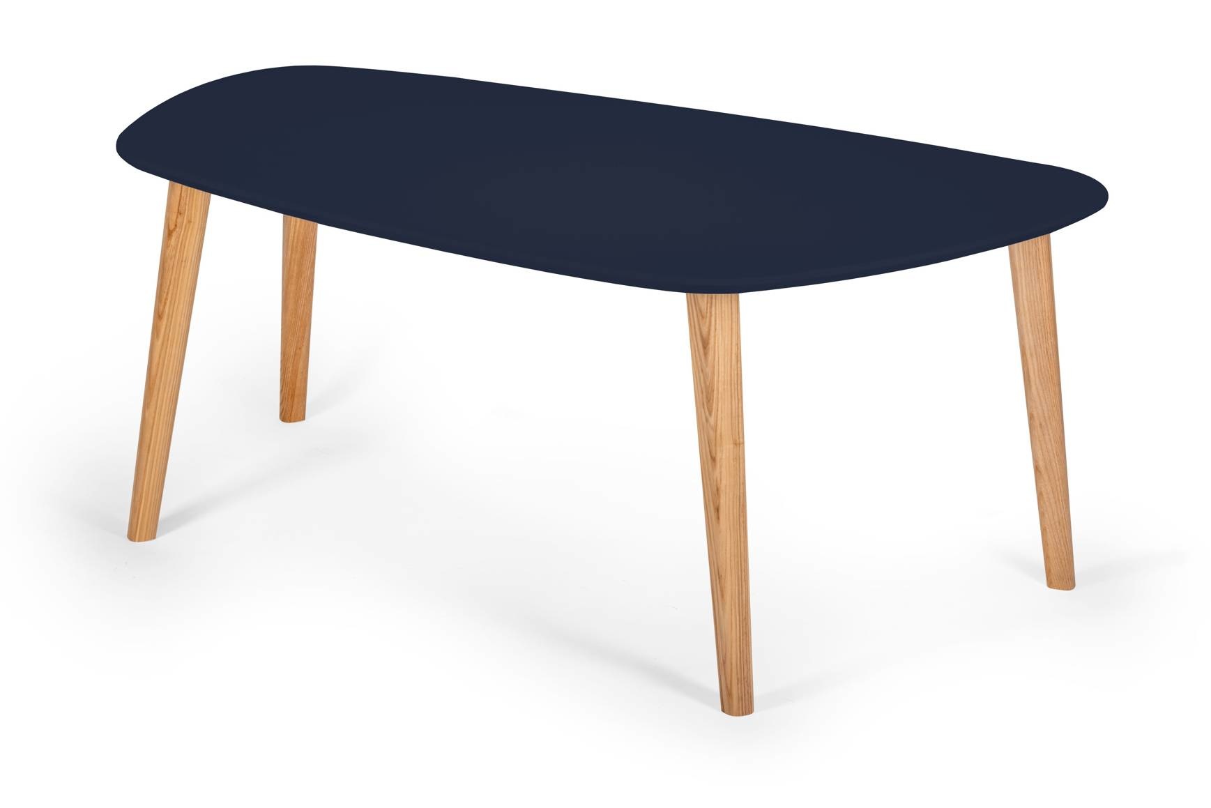 Endocarp Salontafel Marineblauw | Essenhouten Poten, 110x66x45cm | FSC Gecertificeerd