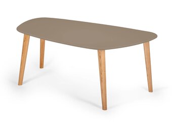 Endocarp Salontafel | 110x66x45 cm | Beverbruin & Essenhout | FSC Gecertificeerd