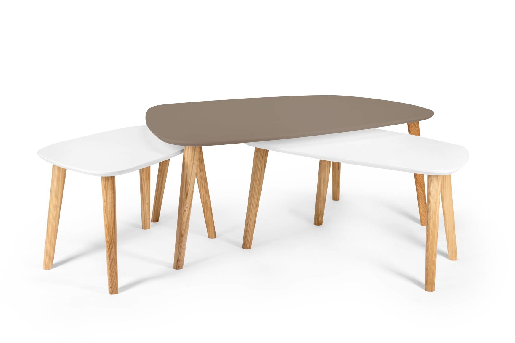 Endocarp Salontafel | 110x66x45 cm | Beverbruin & Essenhout | FSC Gecertificeerd