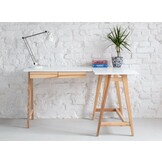 Hoekbureau Luka | Bezemer Geel | Essenhout Poten