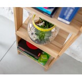 Ladderplank Ashme | Essenhout | FSC-gecertificeerd | 5 planken