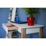 Lillo Schrijftafel | Saliegroen Beukenhout | 105cm x 40cm x 74cm | FSC Gecertificeerd