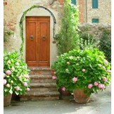 Garden Line - rozenboog metaal - stabiele - 100x21x106 cm