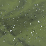 Beschermhoes - voor hangstoel - 190x100 cm - groen