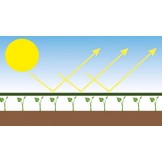 Gardenline - schaduwdoek - 150x2500 cm - donkergroen