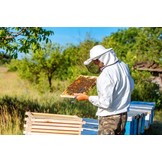 Imkerpak - geventileerd - met afneembare kap - L - beige