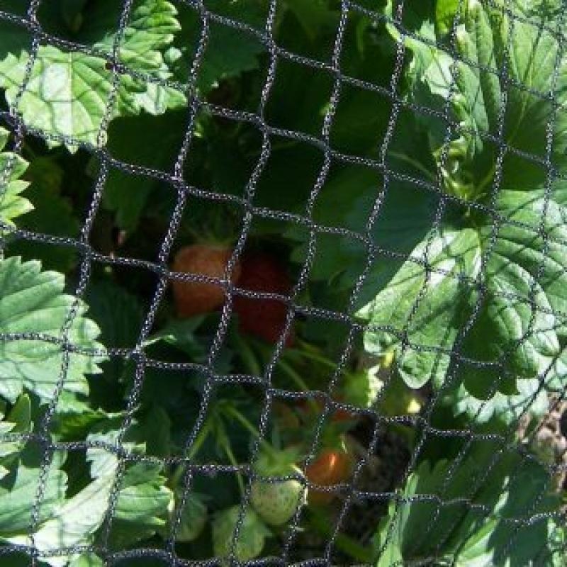 Gardenline - tuinnet - 4x10 m - maaswijdte 2x2 cm - groen