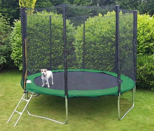 Trampoline groen 244 cm - met veiligheidsnet - tot 110 kg