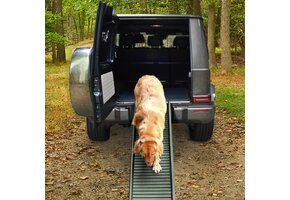 Loopplank hond - 155x40x14 cm - olijfgroen - tot 90 kg