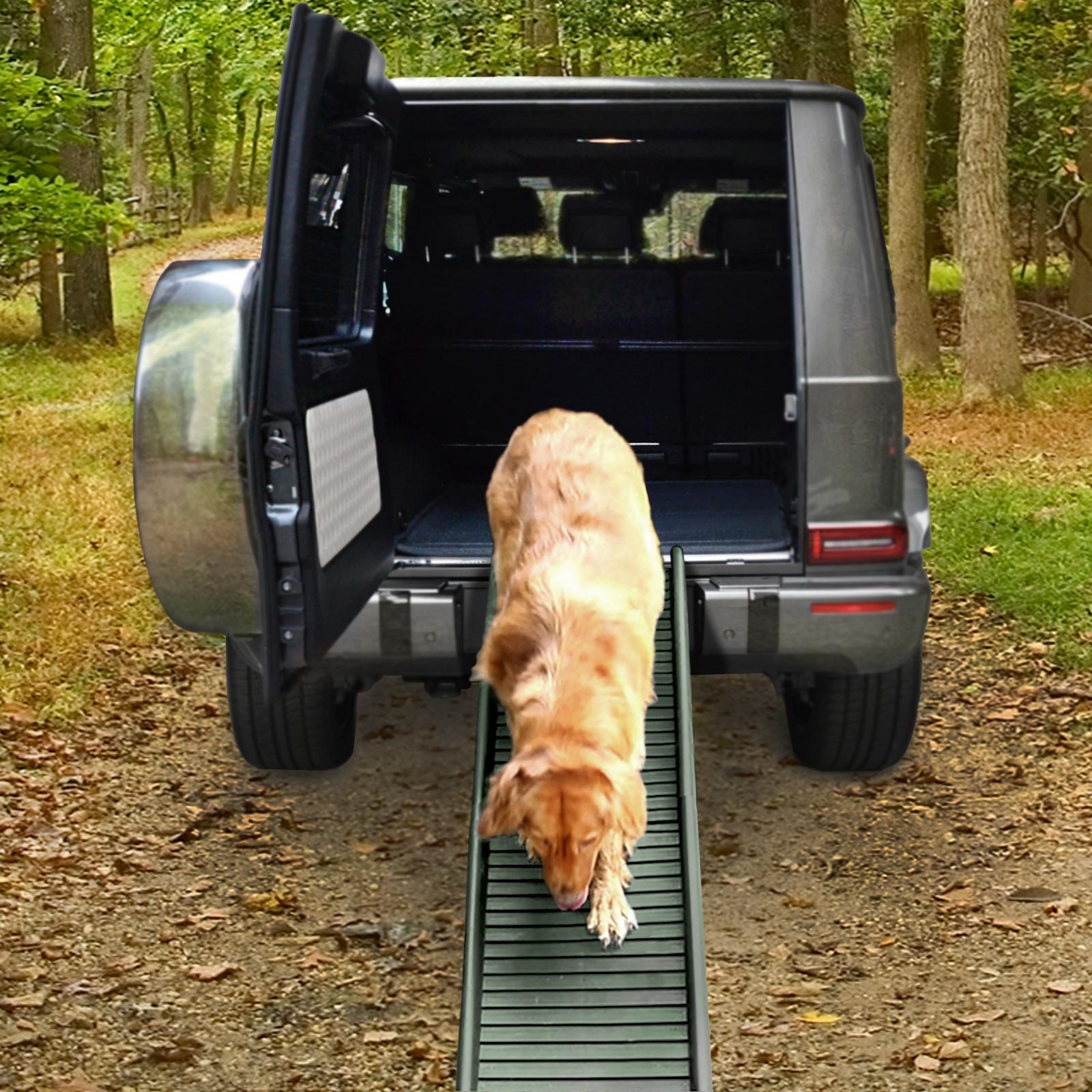 Loopplank hond - 155x40x14 cm - olijfgroen - tot 90 kg