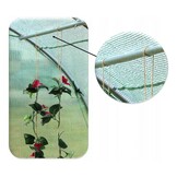 Tunnelkas - met 6 ventilatieramen - 285x192x194 cm - groen