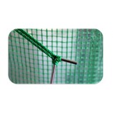 Tunnelkas - met 6 ventilatieramen - 285x192x194 cm - groen