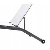 Ligstoel tuin - inklapbaar - 195x63x90 cm - grijs, zwart