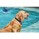 Blafband hond - 15-55 cm - diervriendelijk - met gratis e-book