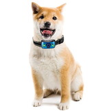 Blafband hond - 15-55 cm - diervriendelijk - met gratis e-book