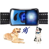 Blafband hond - 15-55 cm - diervriendelijk - met gratis e-book