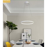 Hanglamp - ringlamp - 40cm - wit