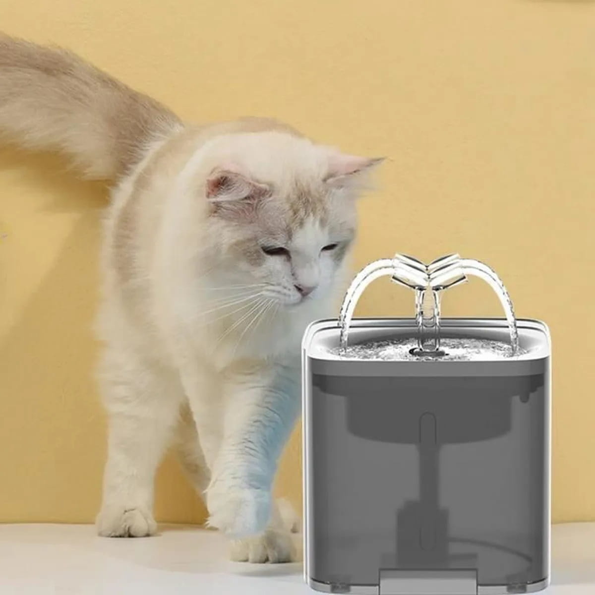 Drinkfontein kat en hond - 2L - met waterfilter - donker grijs