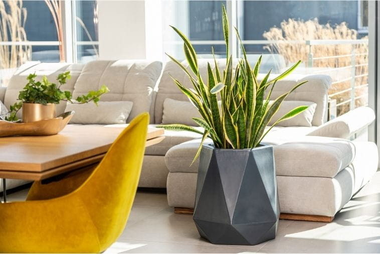 Bloempot - voor binnen en buiten - 54x47x29 cm - antraciet